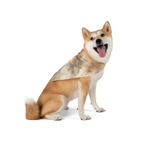 Pet Bandana