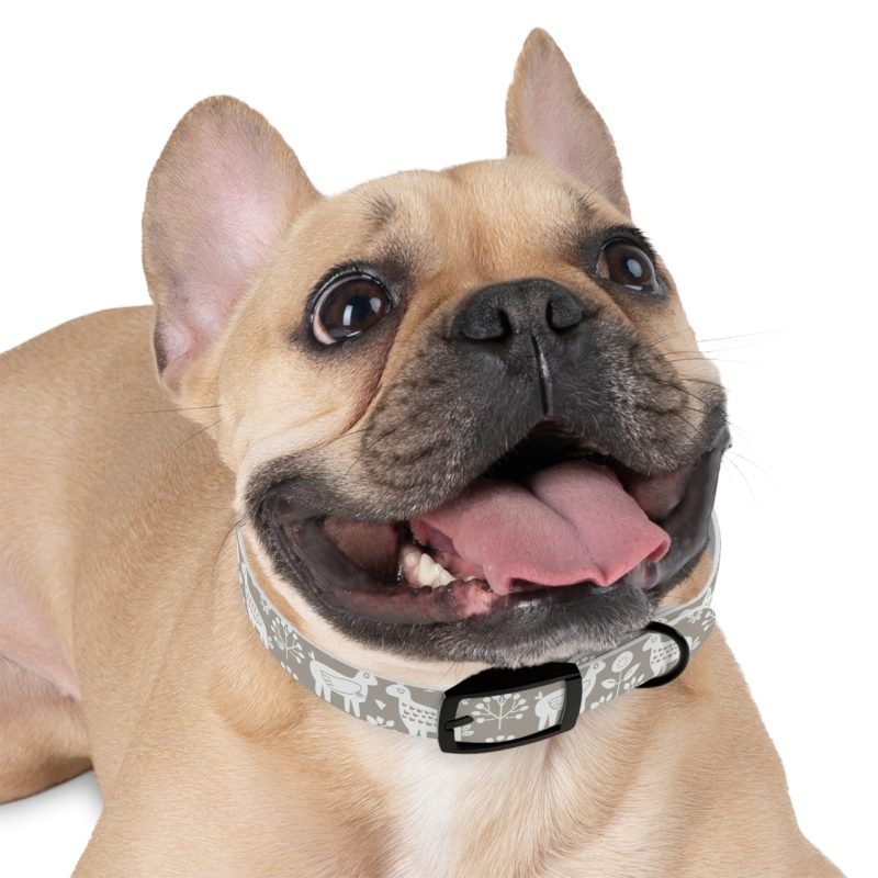 Dog Collar - Image 3