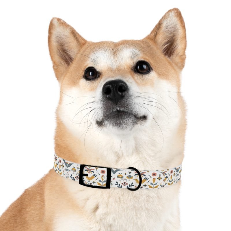 Dog Collar - Image 39