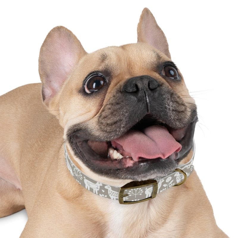 Dog Collar - Image 12