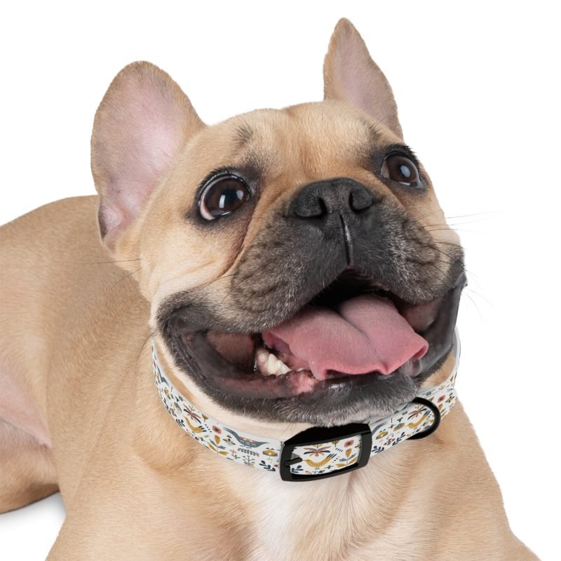 Dog Collar - Image 3