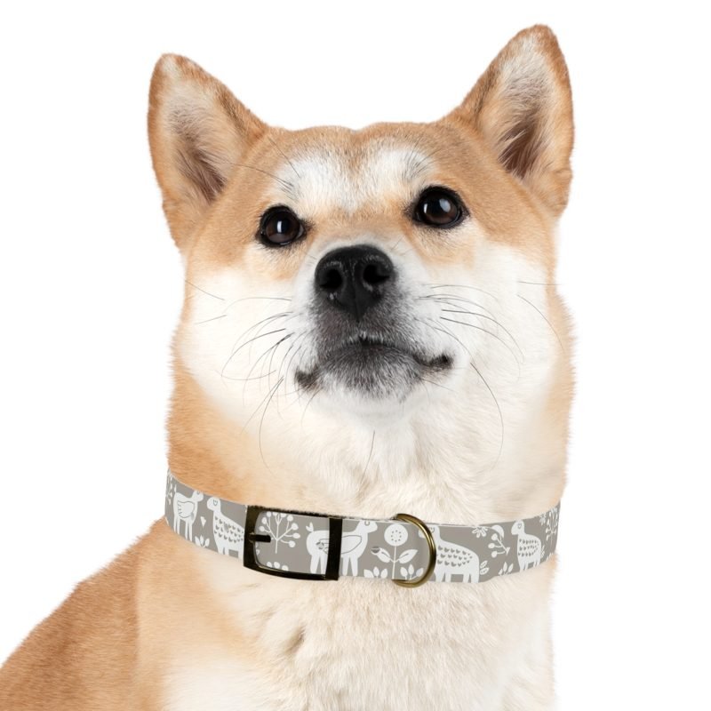 Dog Collar - Image 48