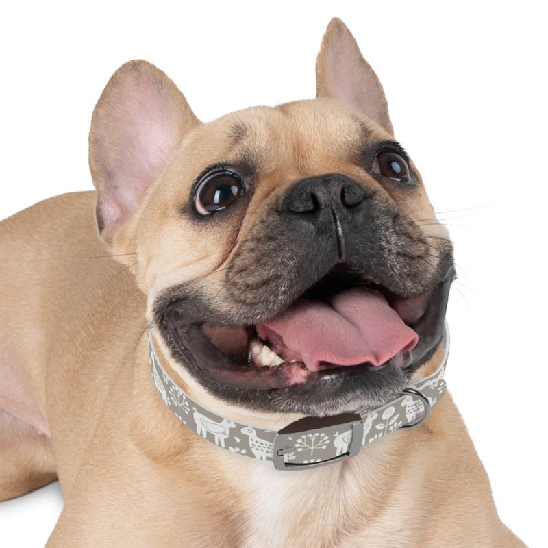 Dog Collar - Image 6