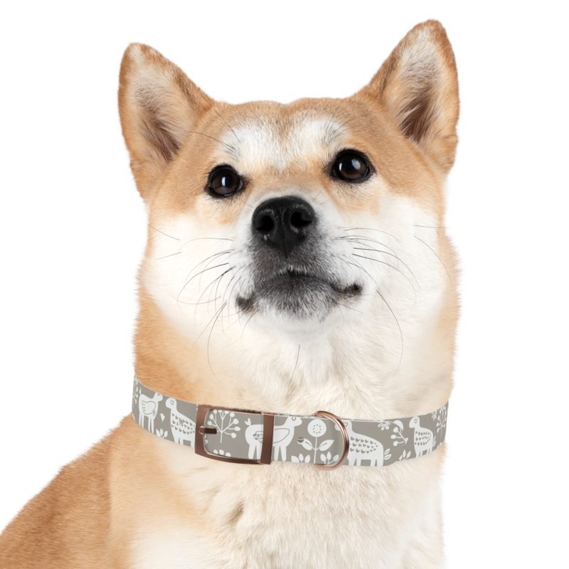 Dog Collar - Image 45