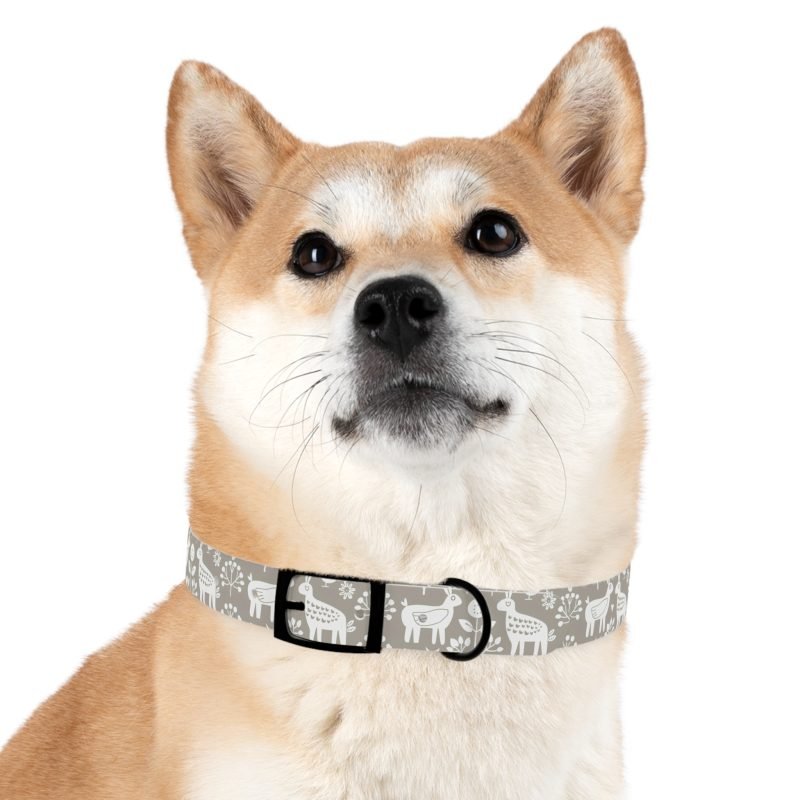 Dog Collar - Image 15