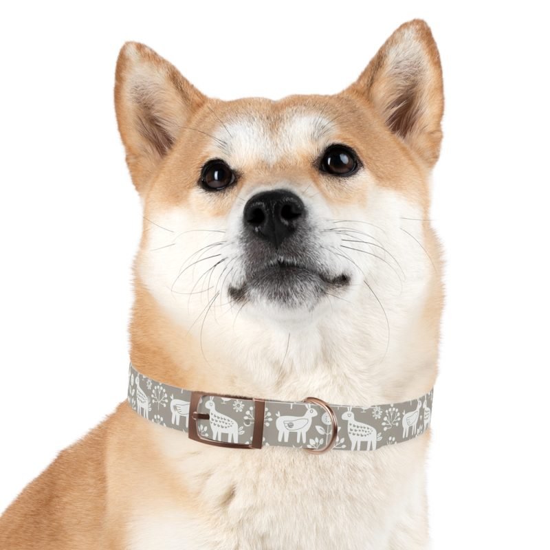 Dog Collar - Image 21
