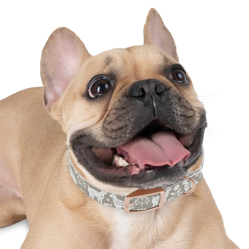 Dog Collar - Image 9