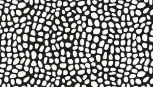 Spotted Motion